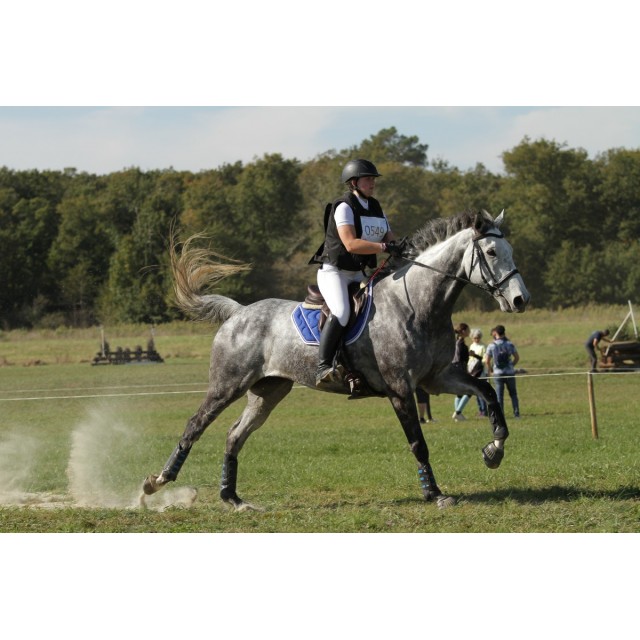 Tapis Paddock Sport