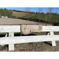 Amortisseur mouton C.S.O.