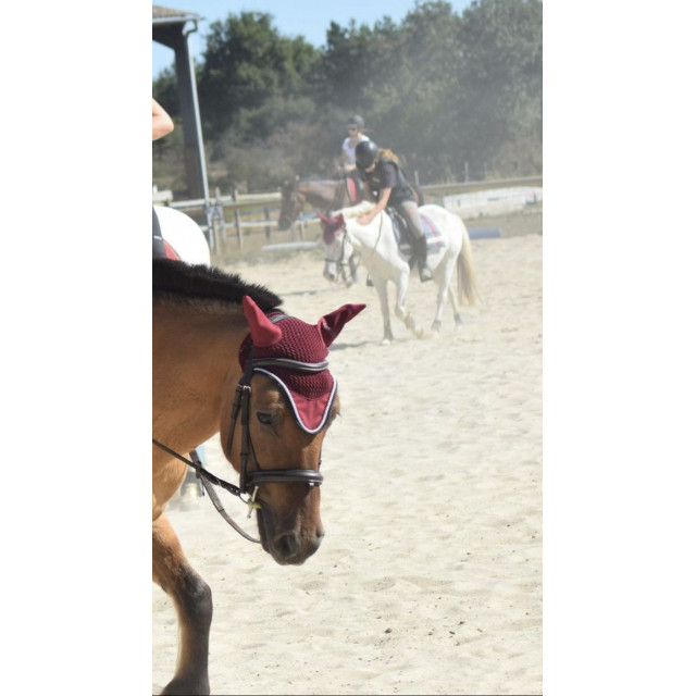 Ensemble tapis bonnet