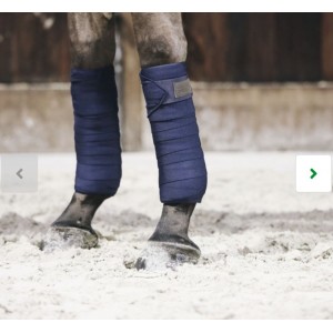 Bande de travail Kentucky