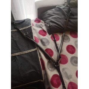 Collier de chasse Éric thomas