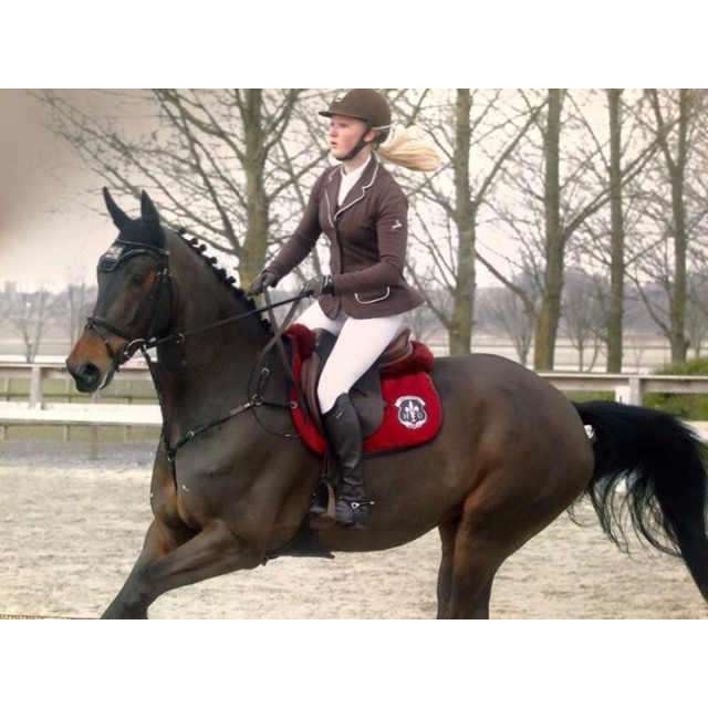 veste spooks marron taille M