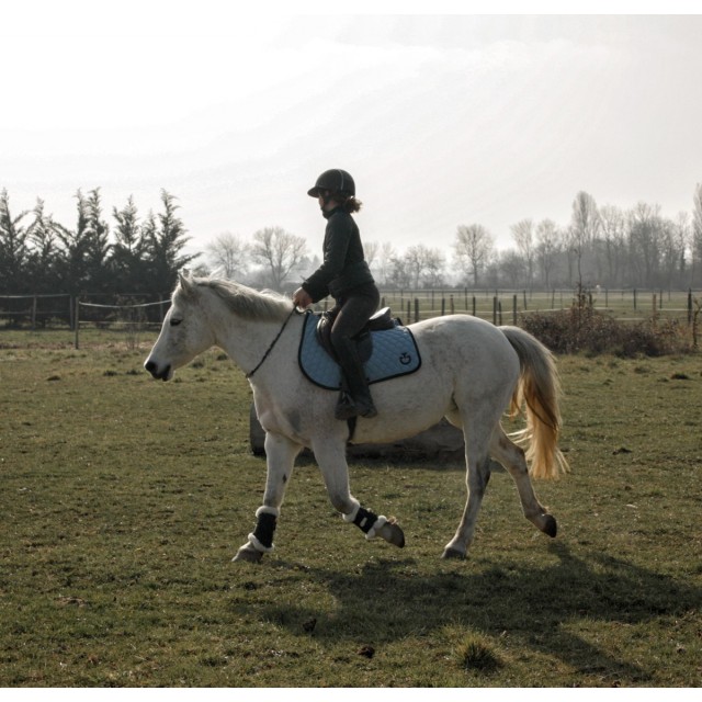 Tapis Cavalleria Toscana