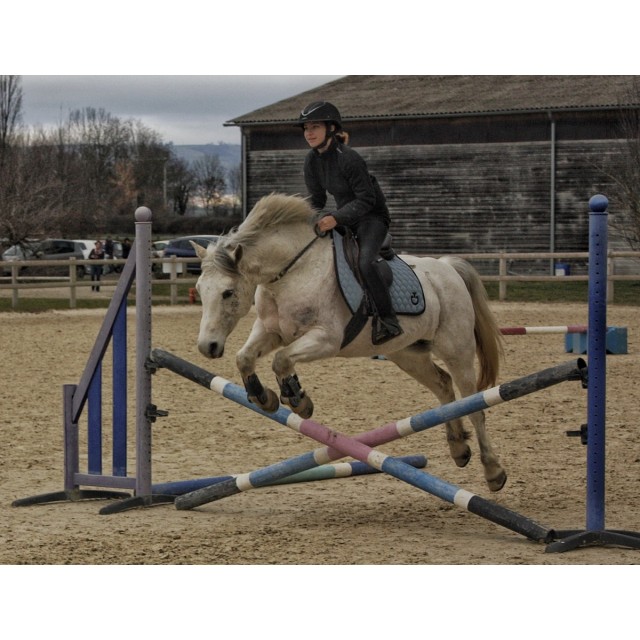 Tapis Cavalleria Toscana