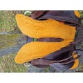 Selle western Westwood