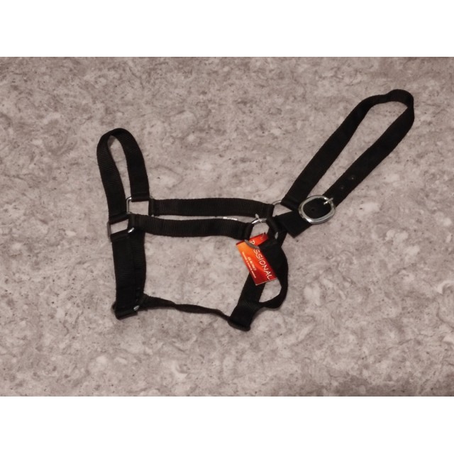 Licol noir taille cheval