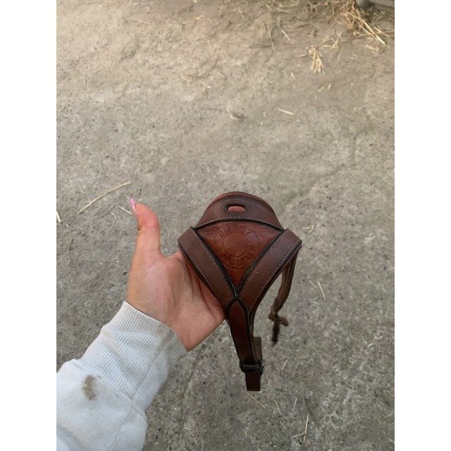 Collier de chasse + martingale butet