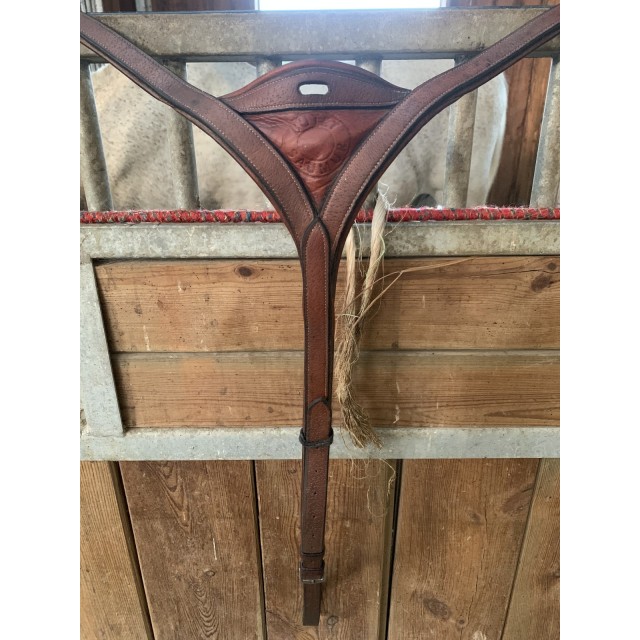 Collier de chasse + martingale butet