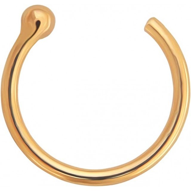 LIFKOME Fonte en Fer à Cheval en Métal en Cheval Décor Mural Fengshi en Fer à