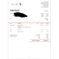 Selle équipé synergy