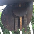 English Riding Saddle