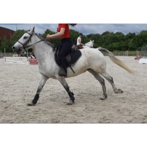 Tapis de selle fouganza