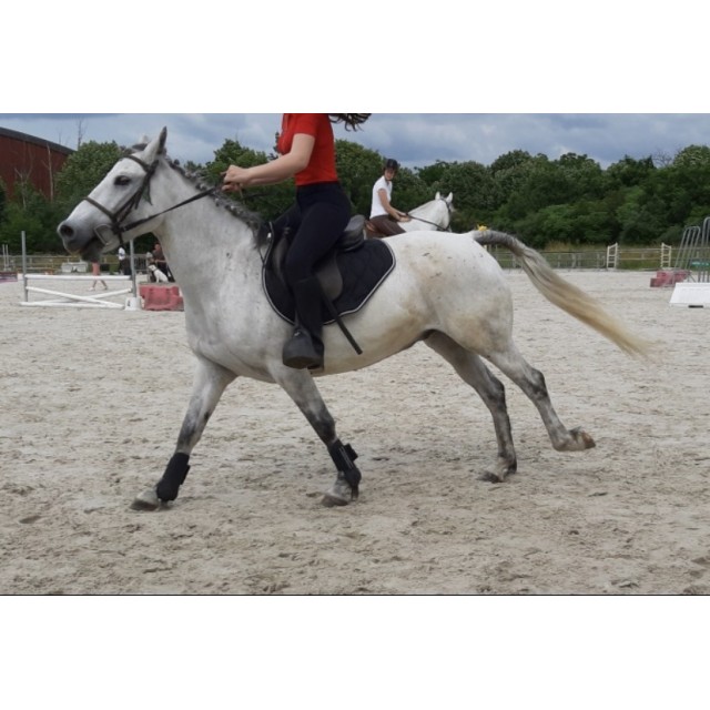 Tapis de selle fouganza