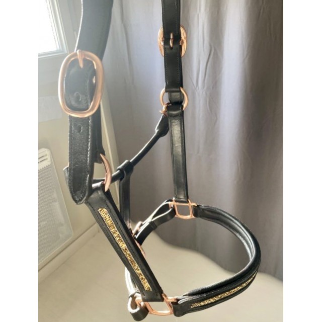 Licol cuir et strass