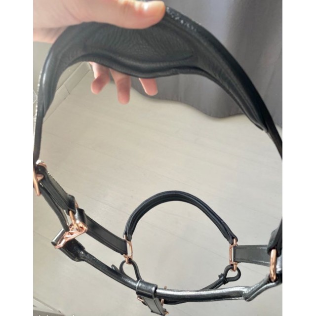 Licol cuir et strass