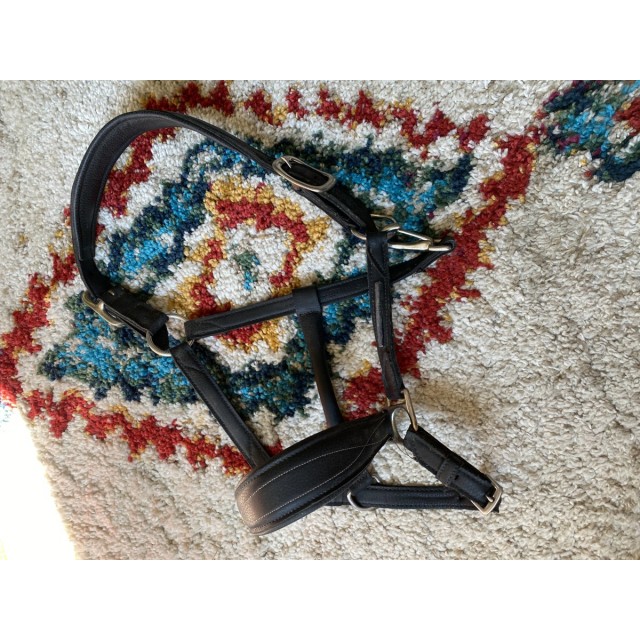 Licol en cuir fouganza