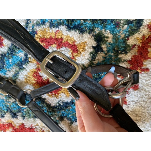 Licol en cuir fouganza