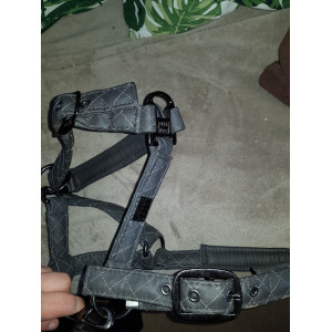 Licol eskadron platinium