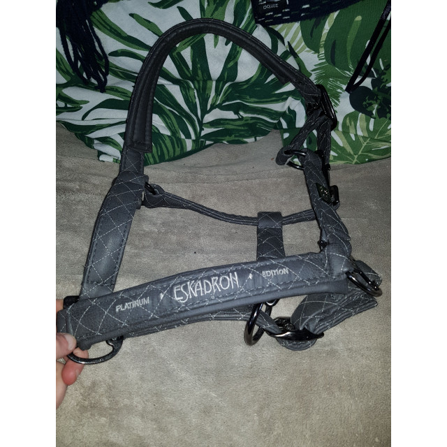 Licol eskadron platinium