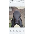 Selle devoucoux Biarritz O