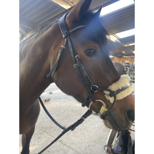 Bridon Collegiate COMFITEC SHEEPSKIN