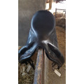 Selle de dressage devoucoux