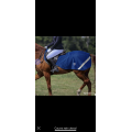 Couvre rein cheval