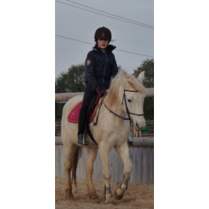 Tapis bordeau taille poney