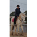 Tapis bordeau taille poney