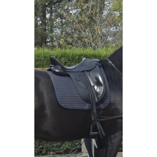 Selle dressage Bates Isabell Werth 17,5