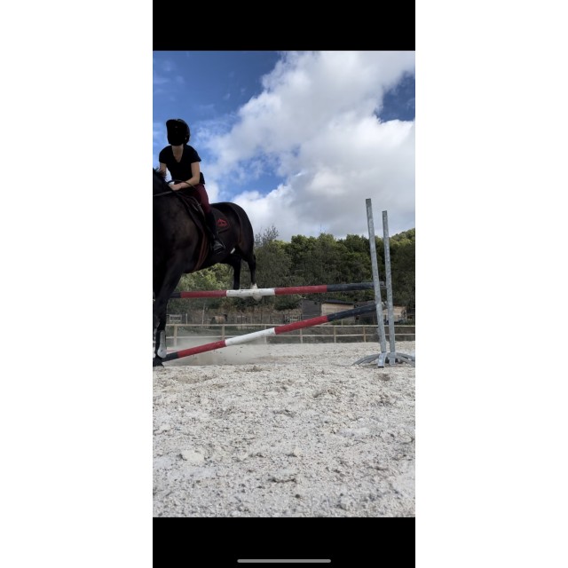 Amortisseur equitheme