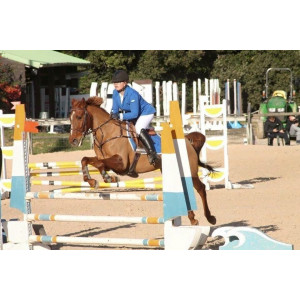 veste de concours animo bleu roi