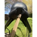 Selle Forestier dressage