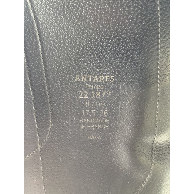 Selle Antarès Tempo - 2022