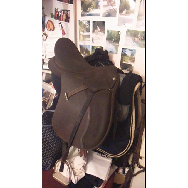selle wintec 2000