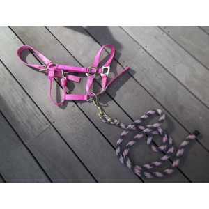 Licol rose fluo et longe rose