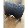 Tapis Veredus