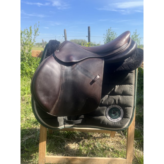 Selle forestier Séoul