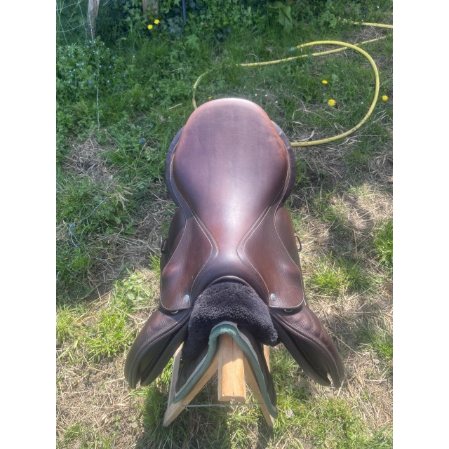 Selle forestier Séoul