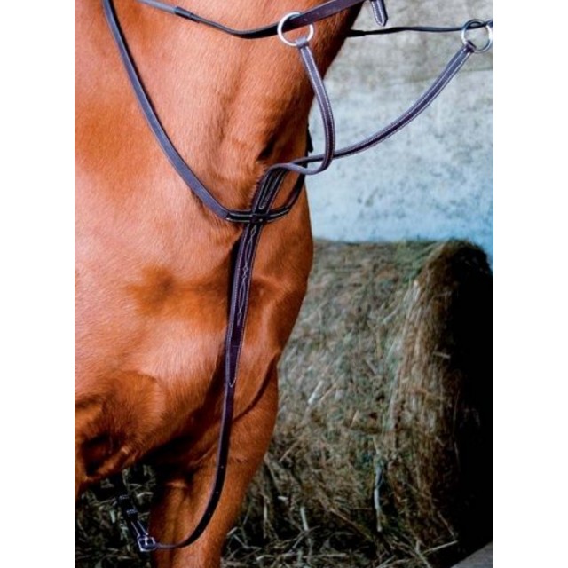 Martingale TdeT marron