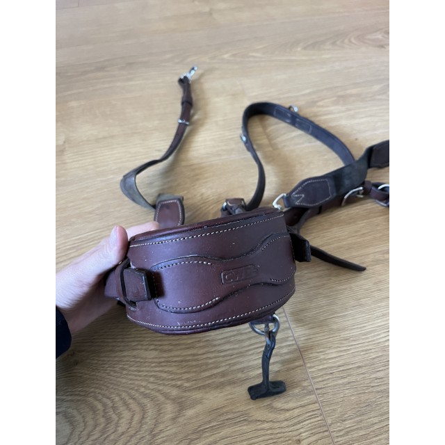 collier freejump cwd