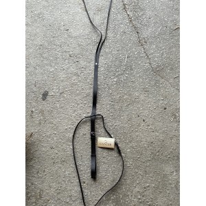 martingale canter