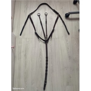 Collier de chasse CWD