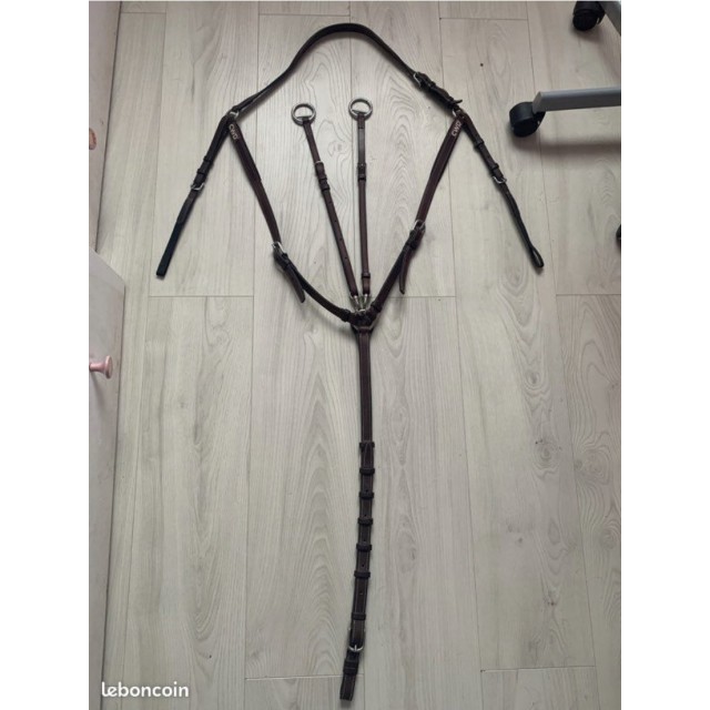 Collier de chasse CWD