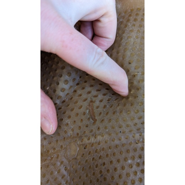 Sous bandage en gel