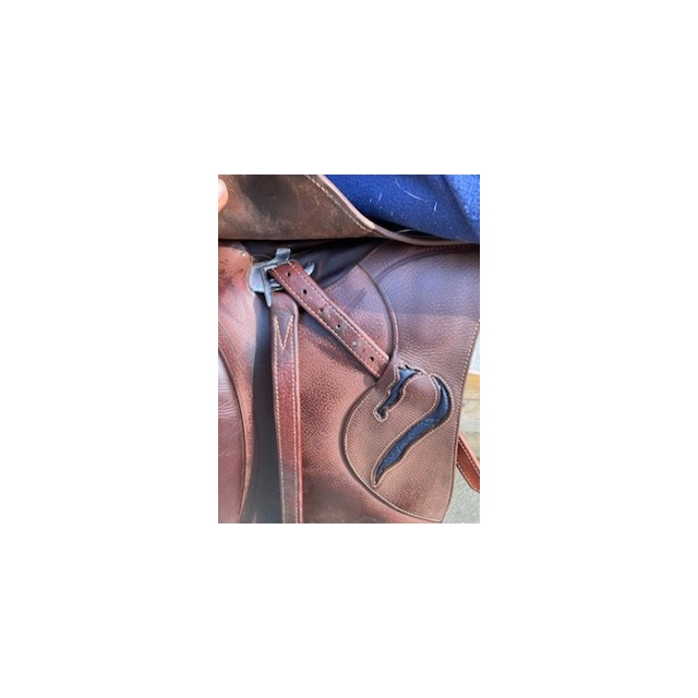 Selle antares connexion