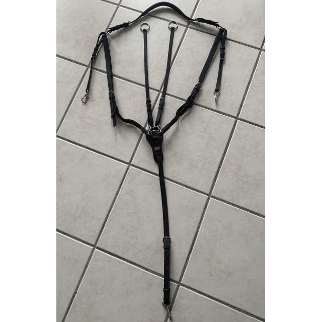 martingale collier de chasse