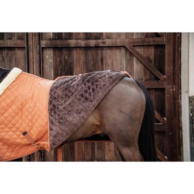 Couverture de présentation 160g Kentucky