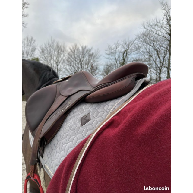 Selle Antares