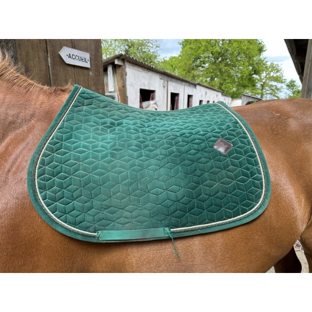 Tapis de selle mixte